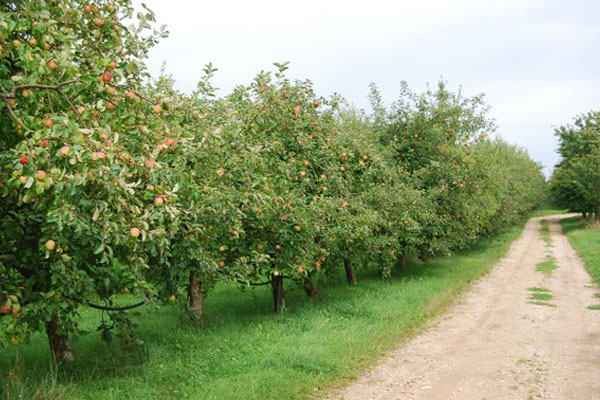 jacoby-bio-impressionen2