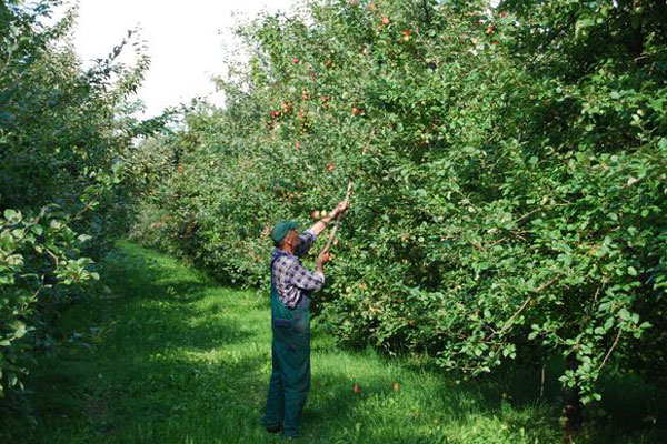 jacoby-bio-impressionen3