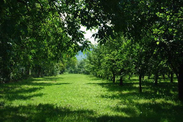 jacoby-geschichte-impressionen1