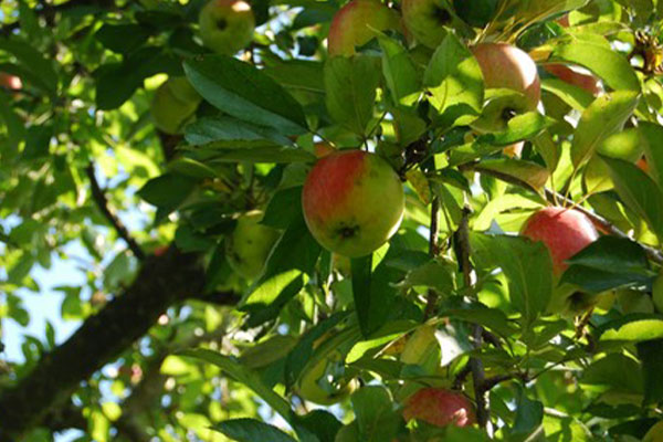 jacoby-geschichte-impressionen2