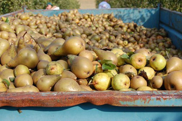 jacoby-geschichte-impressionen3