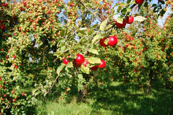 jacoby-geschichte-impressionen4