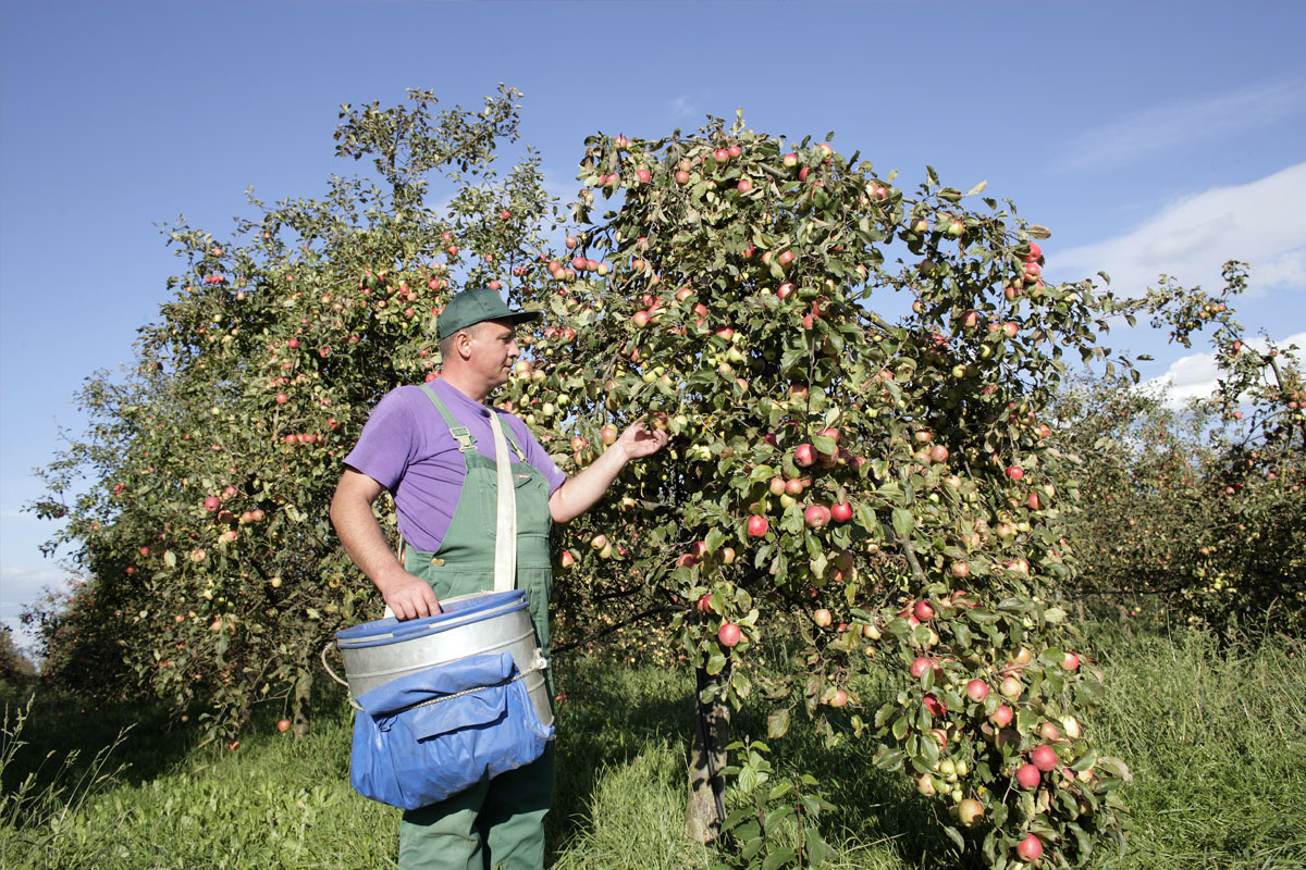 jacoby-unternehmen-ueber-uns